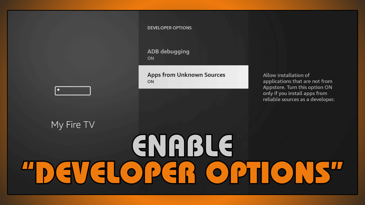 Enable Developer Options
